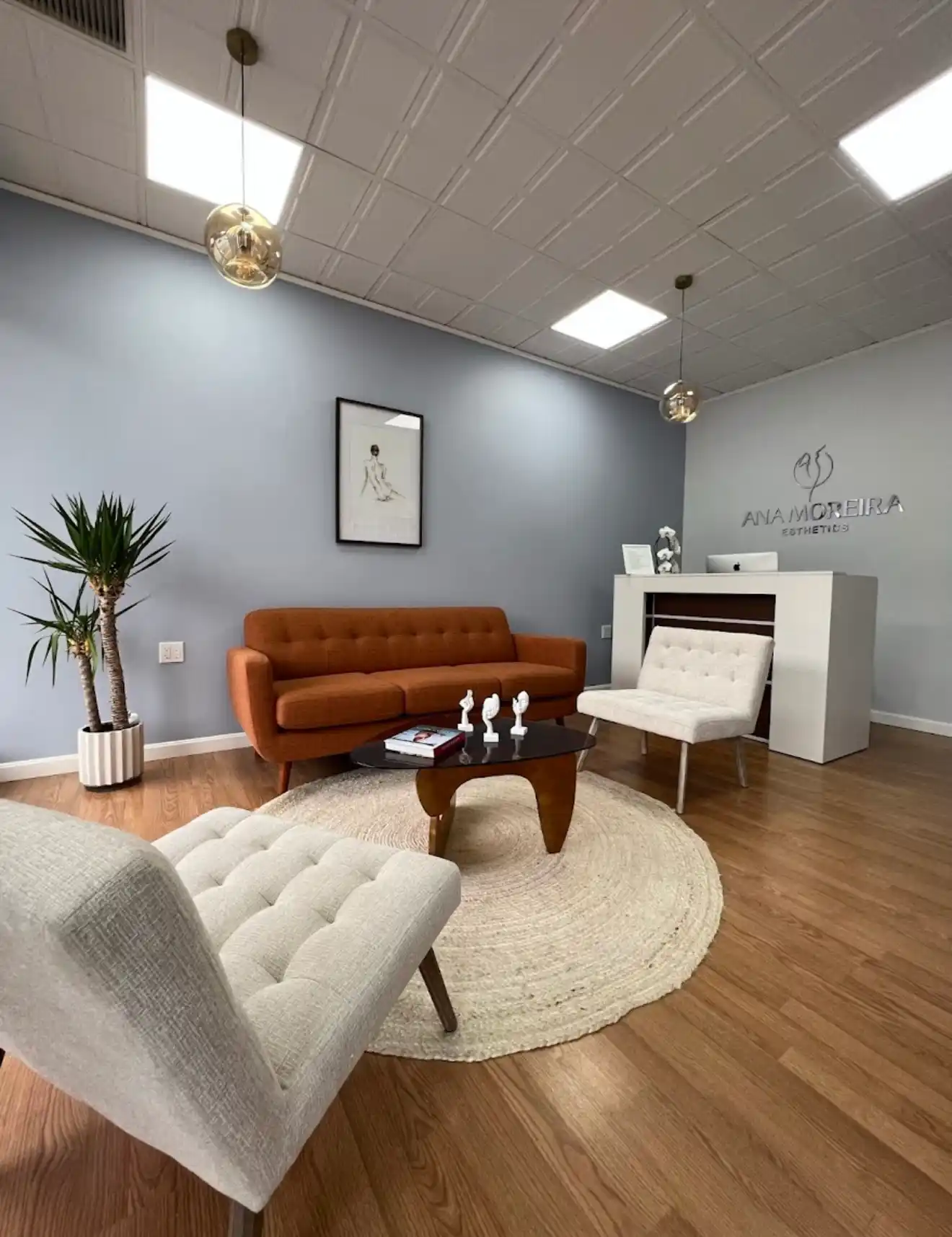 Ana Moreira Esthetics Reception